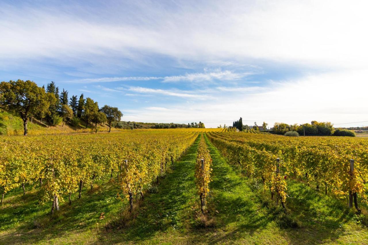 Agriturismo Ai Prati Лацизе Екстер'єр фото